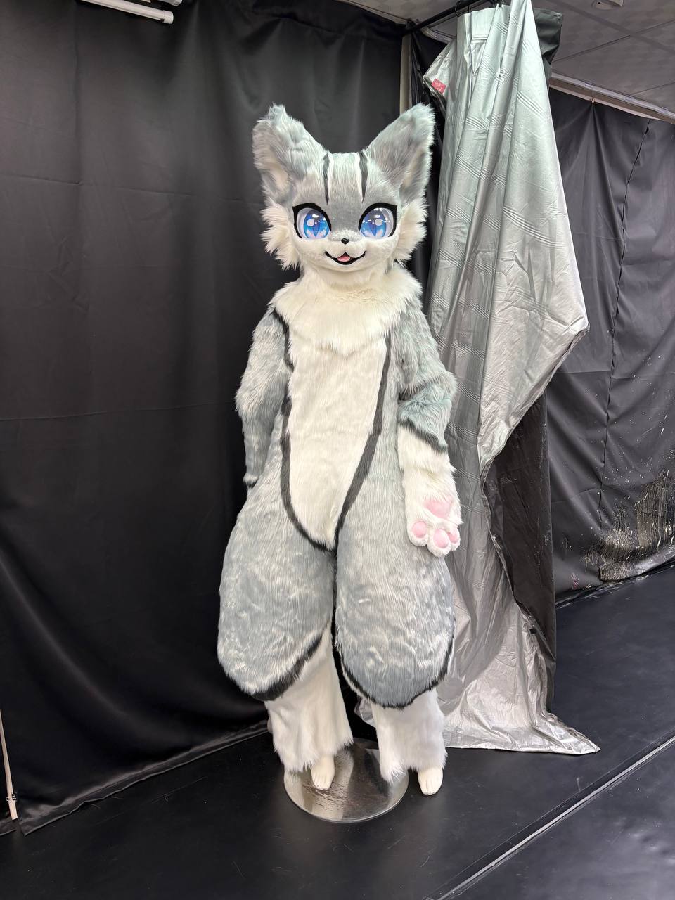 Giant furry cat Mizuno (fursuit)