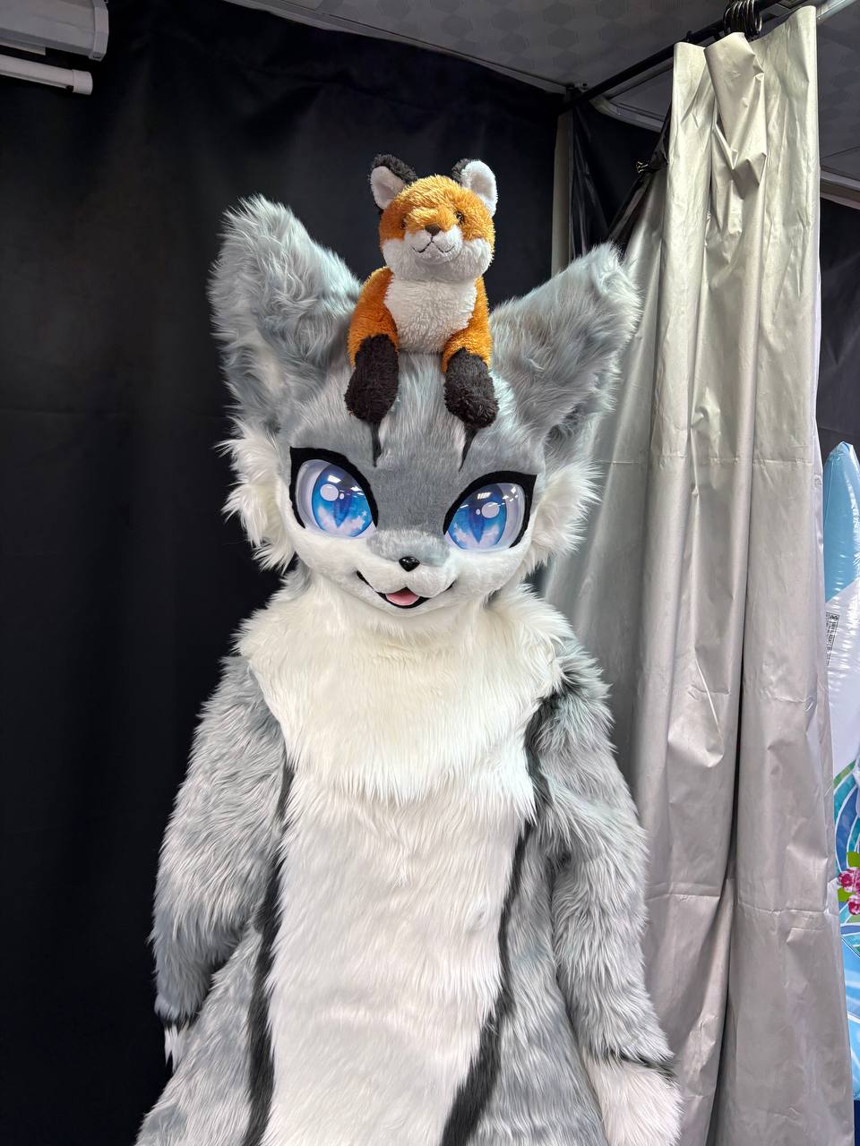 Giant furry cat Mizuno (fursuit)